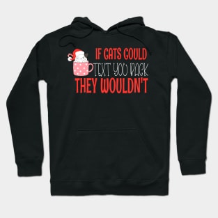 if cats could text you back they wouldnt - Funny Christmas Cat Lover Hoodie